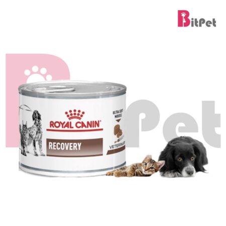 کنسرو سگ رویال کنین مدل ریکاوری Royal Canin Recovery Canned Food وزن 195 گرم